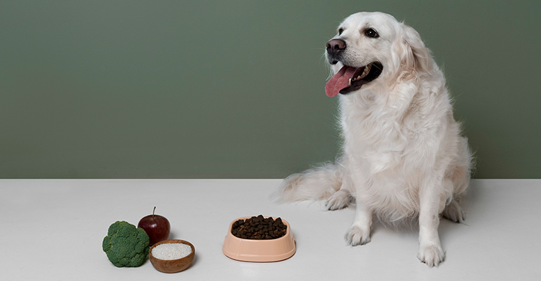 Сухой корм «Прайм вайлд» для собак: состав беззерновых рационов