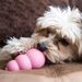 Kong Сlassic Игрушка для щенков, каучук, размер S, розовый/голубой – интернет-магазин Ле’Муррр
