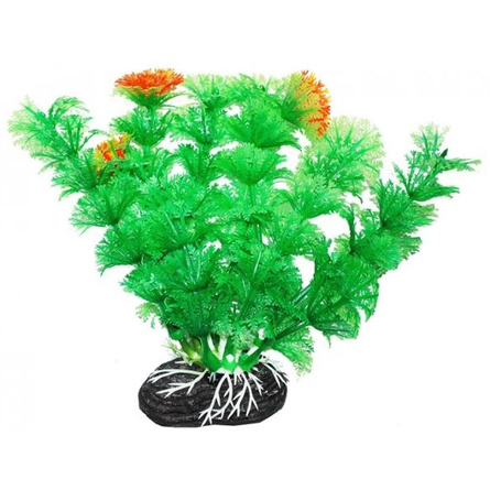 УЮТ Растение аквариумное Амбулия зеленая с оранжевым – интернет-магазин Ле’Муррр