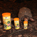 JBL Agivert Растительный корм для сухопутных черепах, палочки – интернет-магазин Ле’Муррр