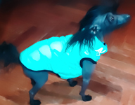 Пользовательская фотография №1 к отзыву на Collar AiryVest Lumi Куртка двухсторонняя светящаяся для собак, салатово-голубая